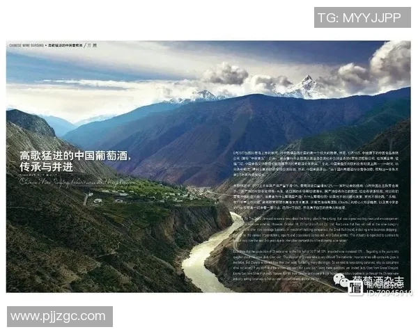 重磅专题：探秘成都篮球队如何实现全面转型与创新发展之路