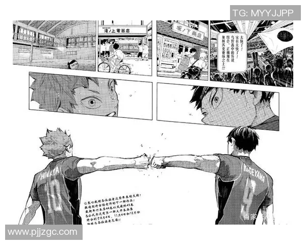 王丽的排球人生：从热爱到巅峰的深度对话与心路历程