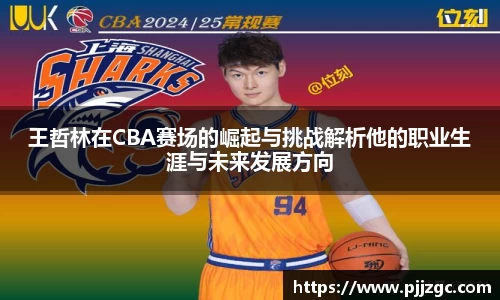 王哲林在CBA赛场的崛起与挑战解析他的职业生涯与未来发展方向